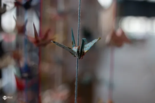 Copyright : William Studio